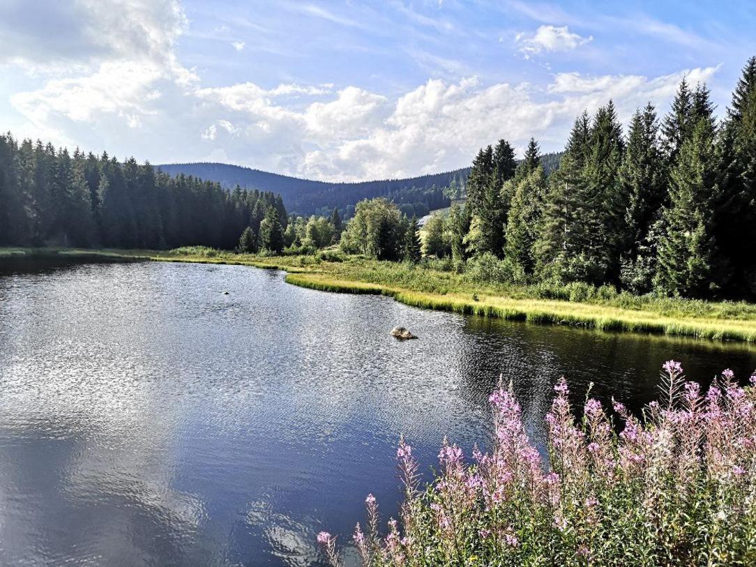 B1 Albmatte-Fewo Sauna, Hallenbad Aussenbecken Massagen Nebenan Menzenschwand Exterior photo