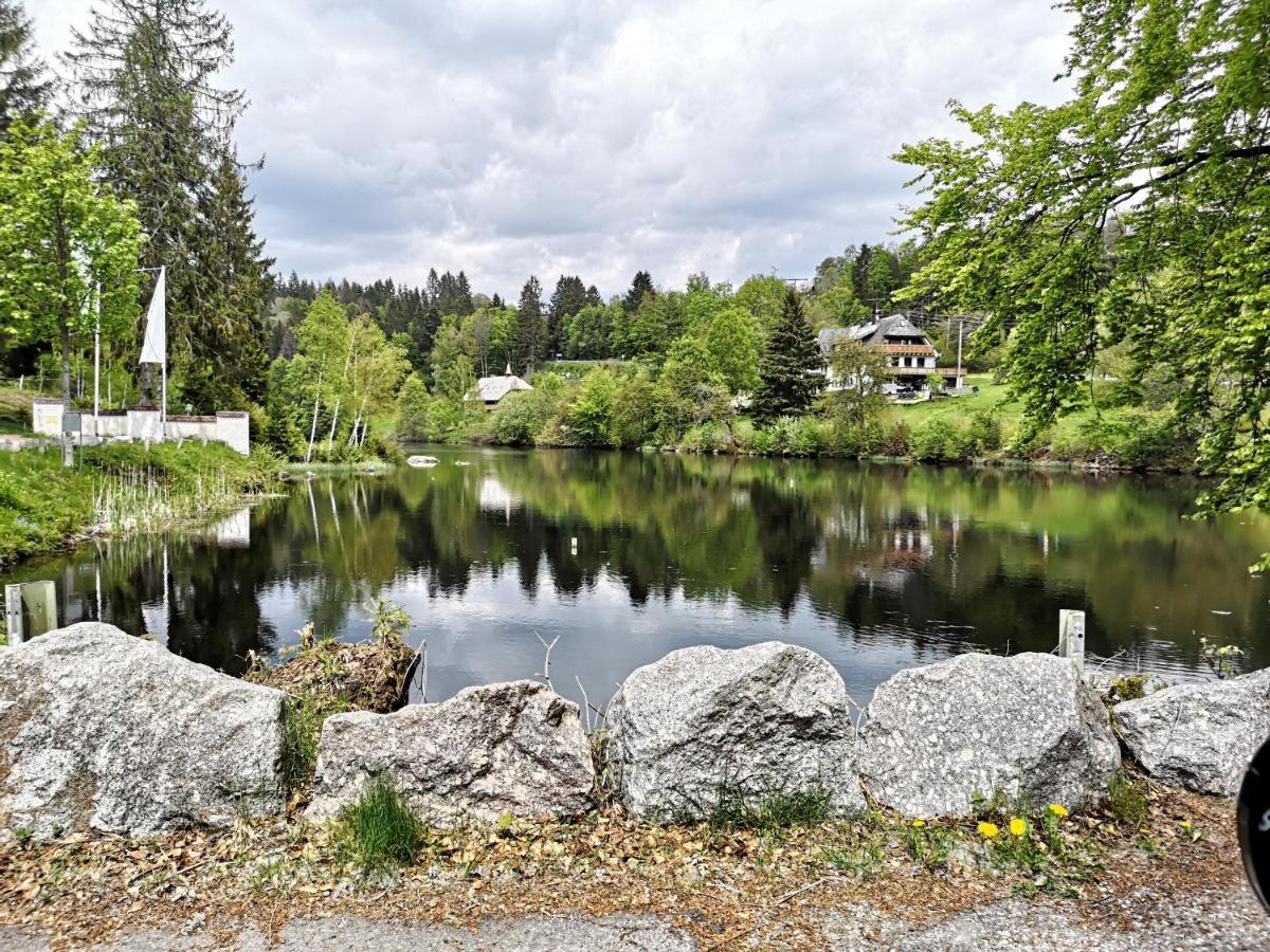 B1 Albmatte-Fewo Sauna, Hallenbad Aussenbecken Massagen Nebenan Menzenschwand Exterior photo