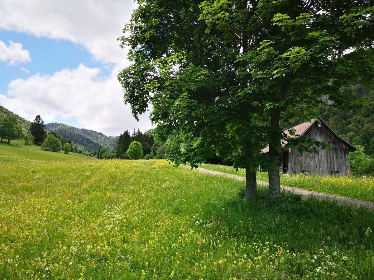 B1 Albmatte-Fewo Sauna, Hallenbad Aussenbecken Massagen Nebenan Menzenschwand Exterior photo