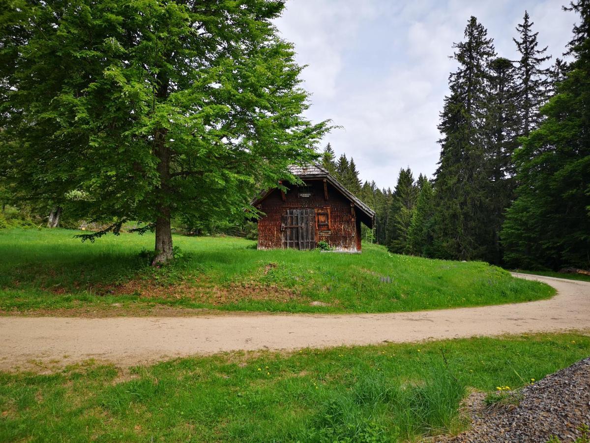 B1 Albmatte-Fewo Sauna, Hallenbad Aussenbecken Massagen Nebenan Menzenschwand Exterior photo