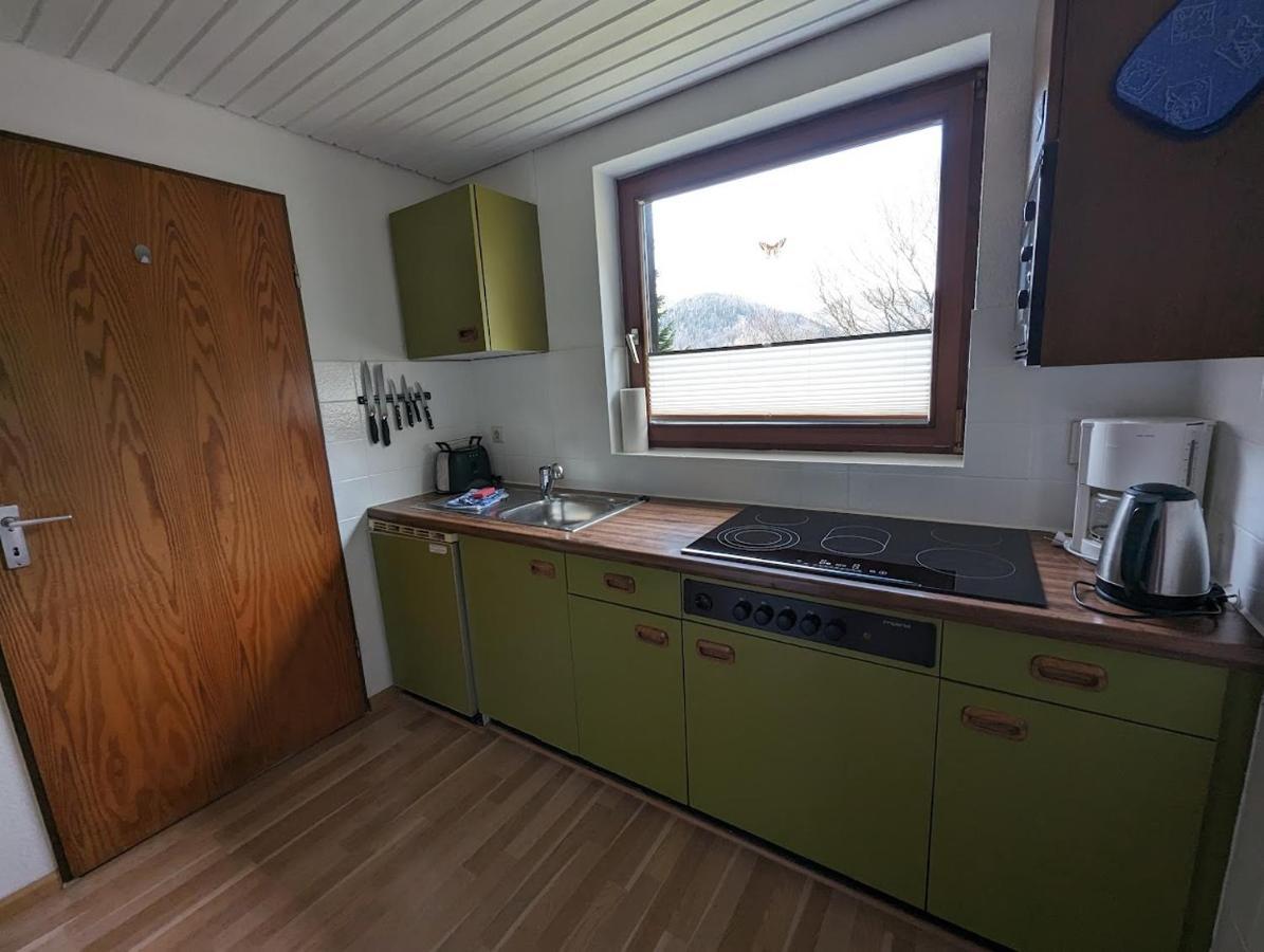 B1 Albmatte-Fewo Sauna, Hallenbad Aussenbecken Massagen Nebenan Menzenschwand Exterior photo